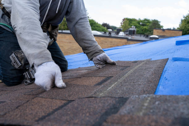 Best Storm Damage Roof Repair  in Ore City, TX